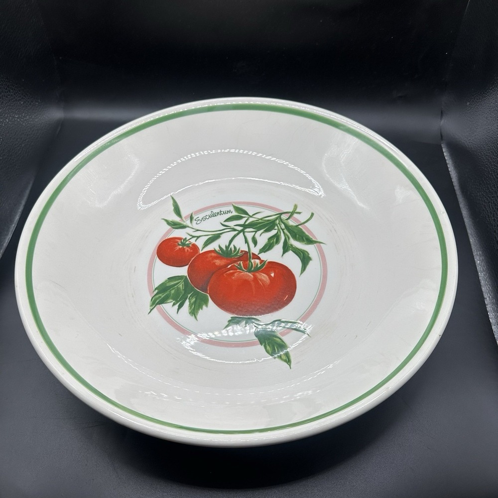 HIMARK 12" Pasta Salad Serving Bowl Made In Italy‎ Tomatoes (Esculentum) Crazed!